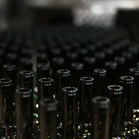 Pensión Vinifera Vineyards