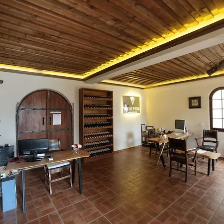 Vinifera Vineyards Pensión 4*