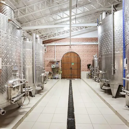 Vinifera Vineyards Pensión 4*