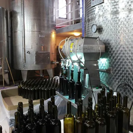 Pensión Vinifera Vineyards Selçuk