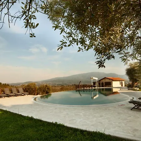 Vinifera Vineyards 3*