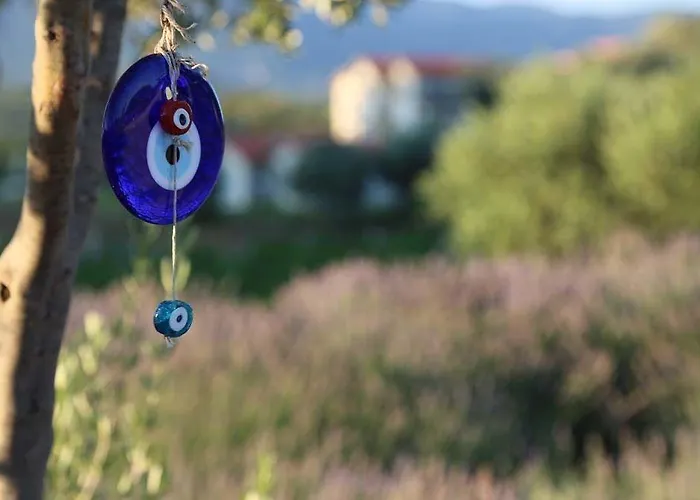 Maison d'hôtes Vinifera Vineyards 4*