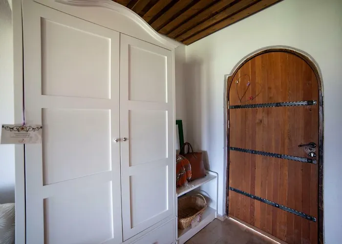 Vinifera Vineyards Maison d'hôtes 4*