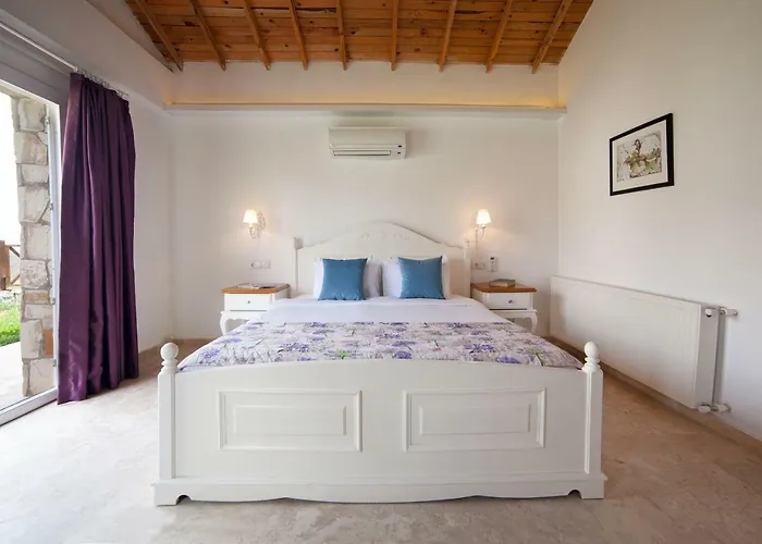 Vinifera Vineyards Maison d'hôtes 4*