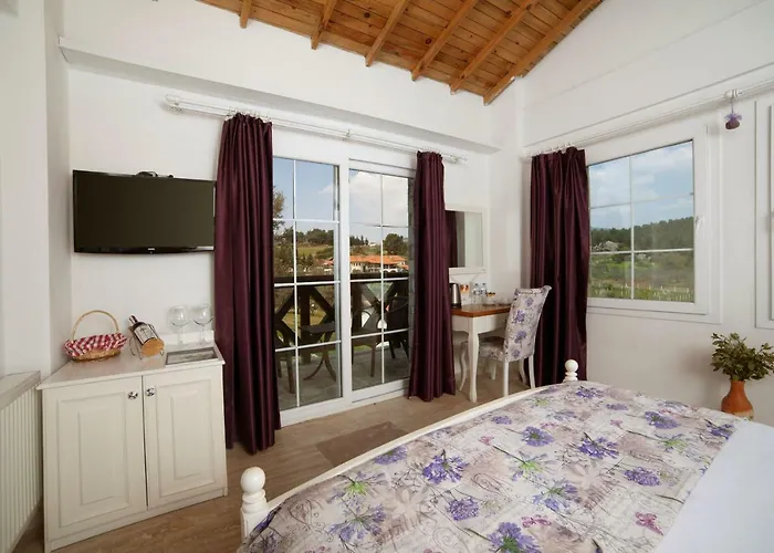 Vinifera Vineyards Maison d'hôtes 4*