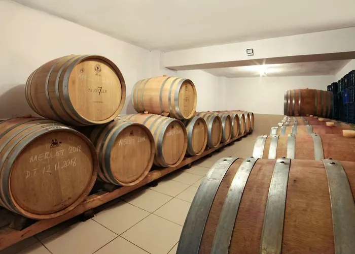 Vinifera Vineyards