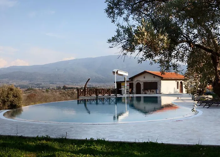 Vinifera Vineyards