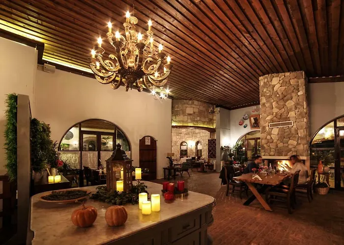 Vinifera Vineyards