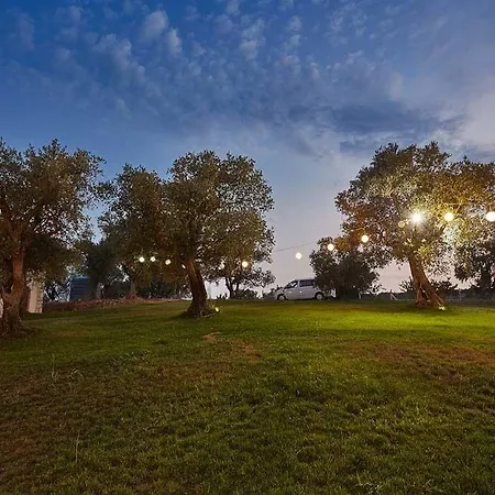 Vinifera Vineyards Selcuk