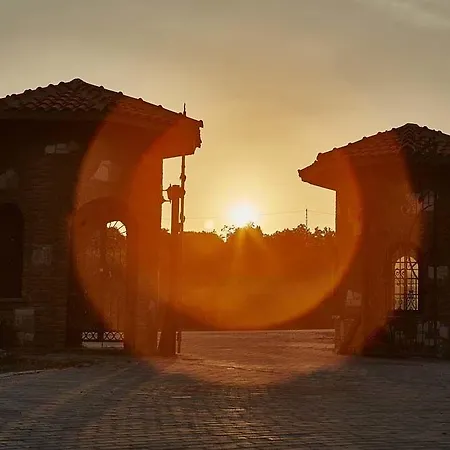 Vinifera Vineyards Selcuk