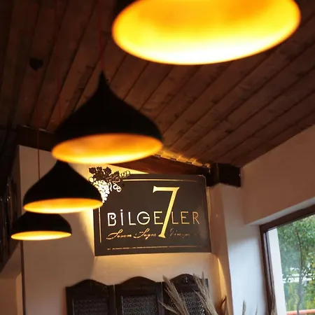 Vinifera Vineyards Penzion Selcuk