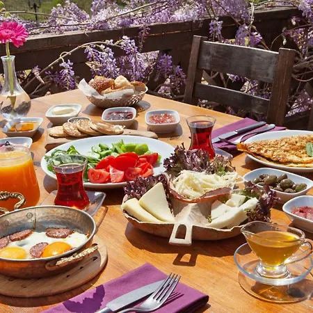 Vinifera Vineyards Penzion