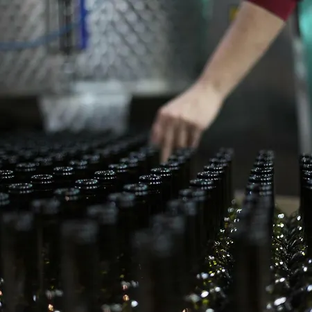 Vinifera Vineyards Gæstehus 3*
