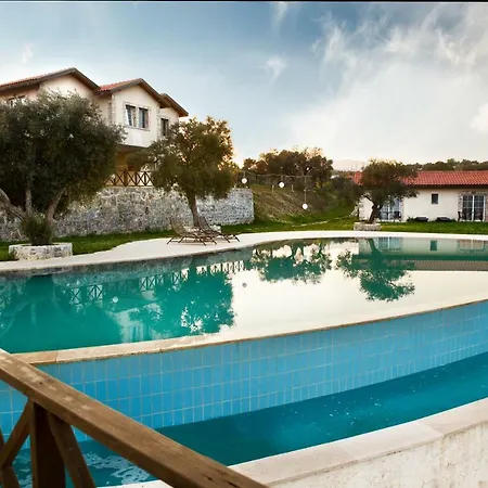 Vinifera Vineyards Selcuk