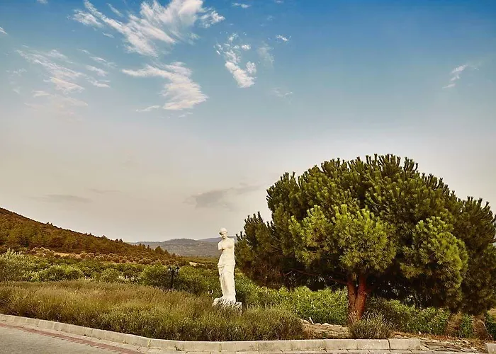 Vinifera Vineyards 4*