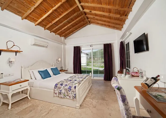 Casa de hóspedes Vinifera Vineyards Selçuk