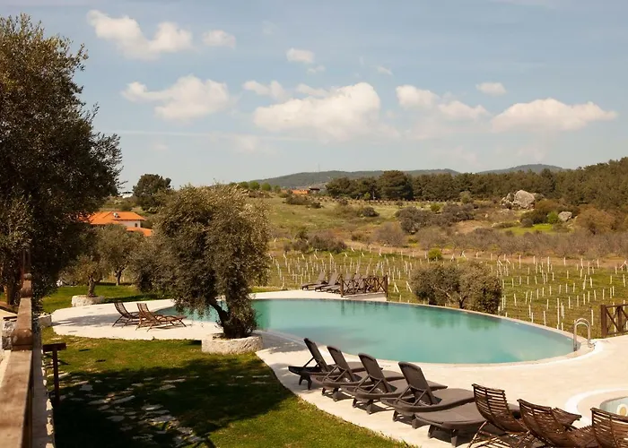 Vinifera Vineyards 4* Selçuk