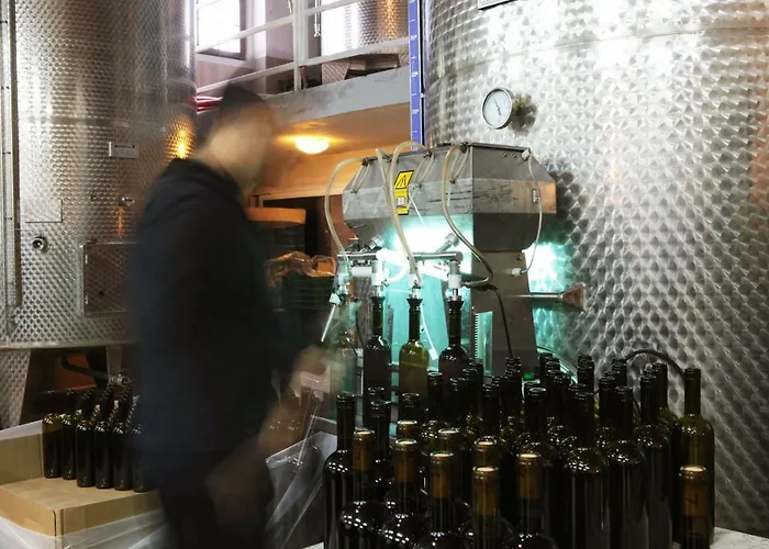 Vinifera Vineyards 4*