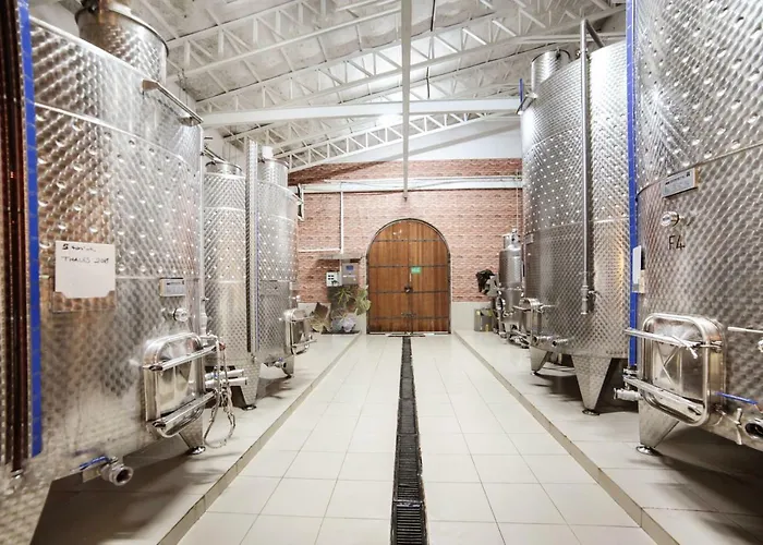 Vinifera Vineyards Casa de hóspedes 4*