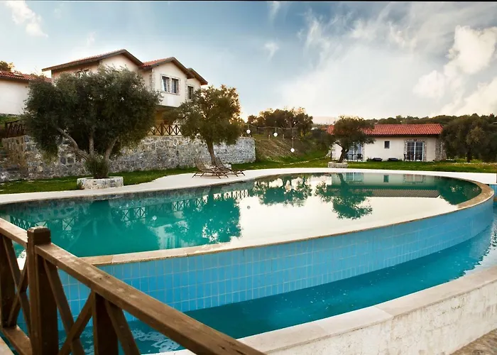 Vinifera Vineyards Selçuk